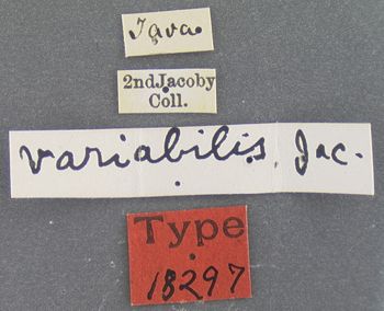 Media type: image; Entomology 18297   Aspect: labels